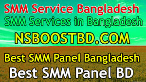 Boost Your Online Presence with SMM Panel: Best and Cheapest SMM Services Provider - nsboostbd.com