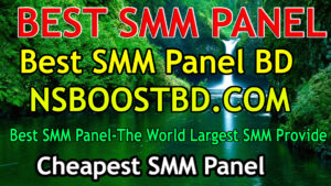 Top 10 SMM Panel in Bangladesh: nsboostbd.com